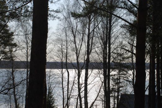 Spill of the Vuoksa river view through the trees.