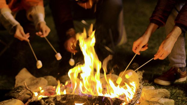 Close up of friends roasting marshmallows on camp fire