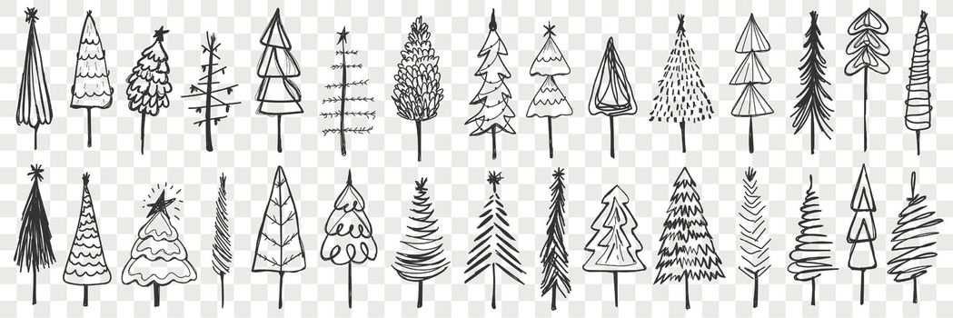 Coniferous trees drawn doodle set