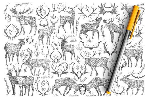 Forest wild deers doodle set