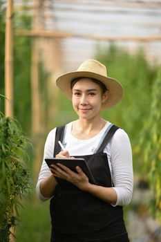 Young woman smart farmer using digital tablet, inspecting cannabis plants in greenhouse. Business agricultural cannabis farm