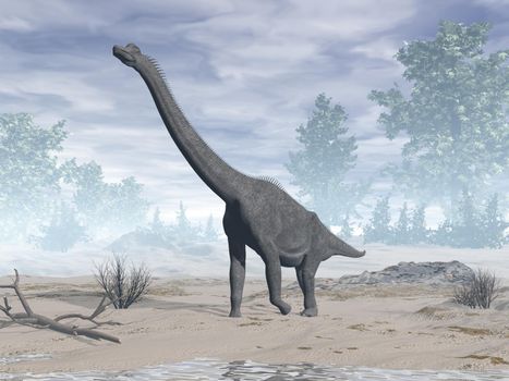 Brachiosaurus dinosaur in the desert - 3D render