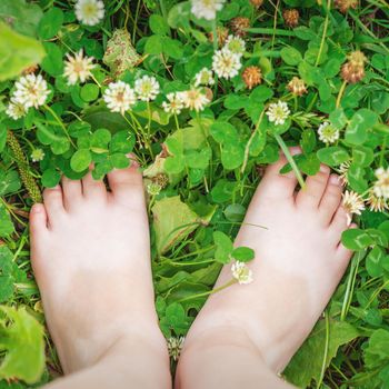 Baby feet barefoot on green grass