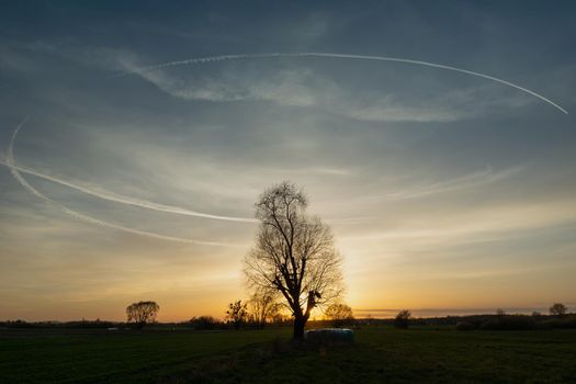 Circular condensation streak over a tree on a meadow during sunset