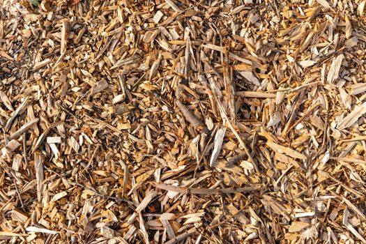 Wood Chips. Natural wood sawdust background. wood sawdust texture.