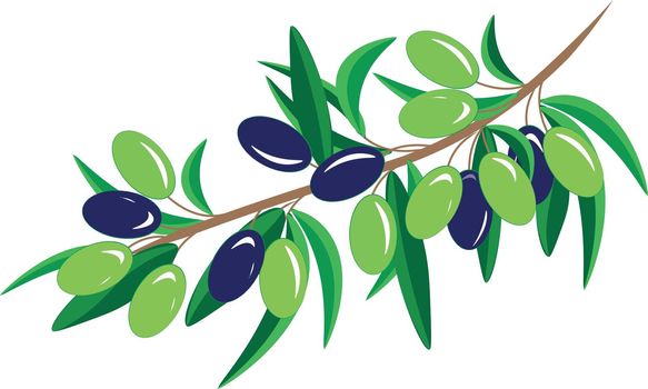 Olive branch illustration. The olive branch is a symbol of reconciliation, peace and unity. Also, olive and olive oil are the most beneficial for the beauty and health of our body.