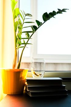A cup of hot tea with lemon is on the windowsill on a pile of books, steam comes out of the cup. Yellow flower pot with green plant. Sunbeam