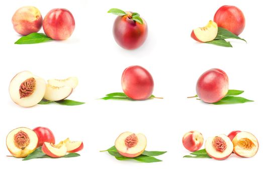 Group of isolated peaches on a white background cutout