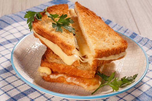 Toasted slices of bread with cheese and green parsley on white plate