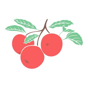 Red apples on leafy branch isolated vector illustration