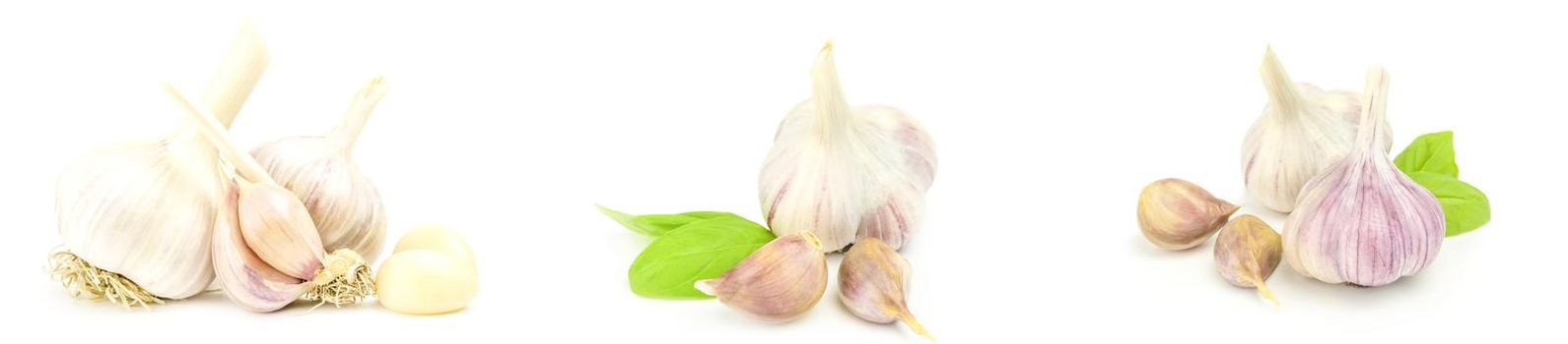 Set of Garlic isolated on a white background cutout