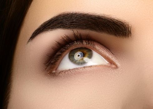 Close-up Beauty of Woman's eye. Sexy smoky Eyes Makeup with brown Eyeshadows. Perfect strong Shape of Eyebrows