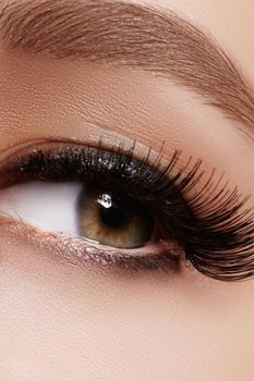 Beautiful female eye with extreme long eyelashes, black liner makeup. Perfect make-up, long lashes. Closeup fashion eyes