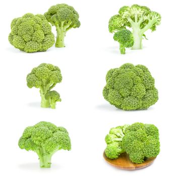 Set of fresh raw broccoli