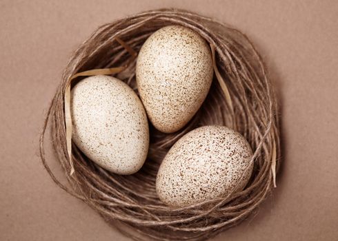 Happy Easter. Background with natural eggs in the nest