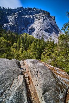 Grove in large boulder with Yosemite cliffs and pine trees in background