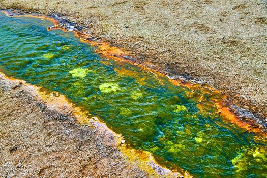 Creek of green alkaline waters in basin of Yellowstone