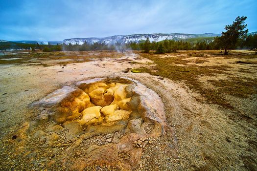 Geysers in Yellowstone Biscuit Basin during winter