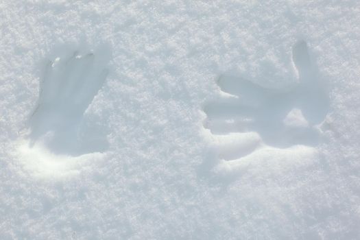 two palm prints on the snow.photo with copy space