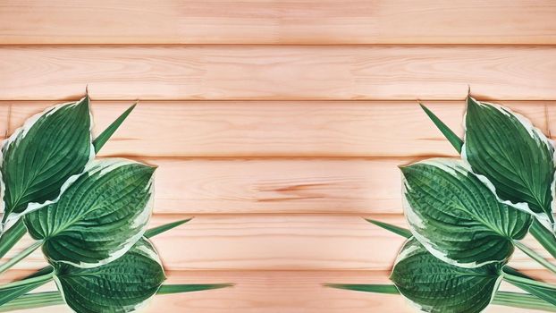 Beautiful Layout Made of Tropical Green Leaves and Empty Wooden background For Copy Space. Minimal Natural Background