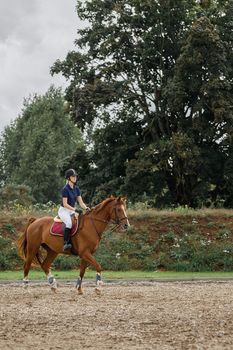 A young girl rides on a brown horse in a stud farm sand arena against the backdrop of large green trees. Horseback riding in the ranch at leisure