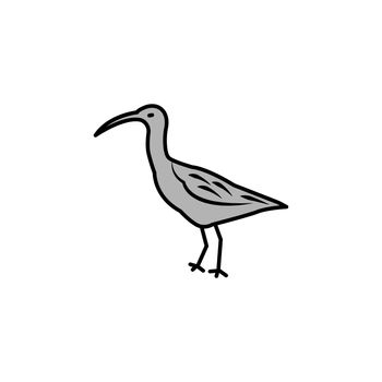 curlew line icon. signs and symbols can be used for web, logo, mobile app, ui, ux
