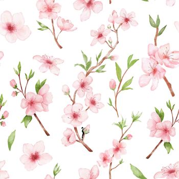 Branch of Cherry blossom watercolor seamless pattern on white backgraund. Japanese flowers. Floral pink background