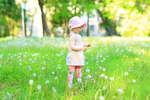 little girl with dandelions