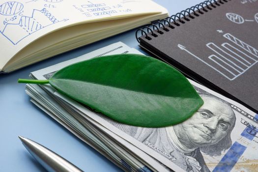 A green leaf on a bundle of money as a symbol of impact investment.