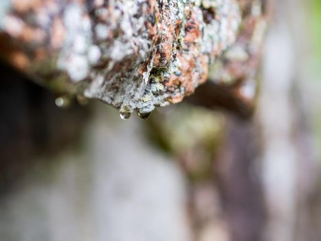 Raindrops flow down granite rock. Close-up photo