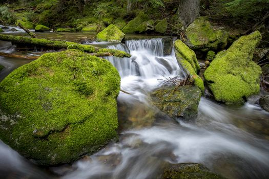 Moss covered rocks surround a cascade.
