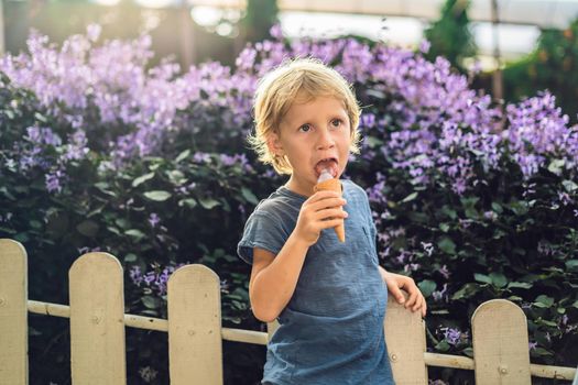 Coronavirus is over. Quarantine weakened. Take off the mask. Now you can go to public places. The boy eats lavender ice cream on the background of a lavender field