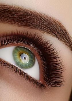 Close-up macro beautiful female eye with extreme long eyelashes. Lash design, natural health lashes. Clean vision