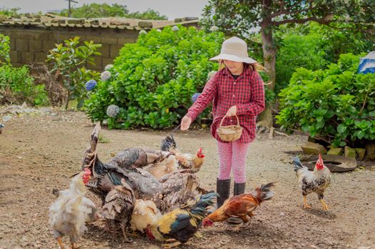 farmer girl feeding chickens and turkeys, farmer girl feeding chickens in the yard, girl feeding farm animals, farmer with turkeys and chickens