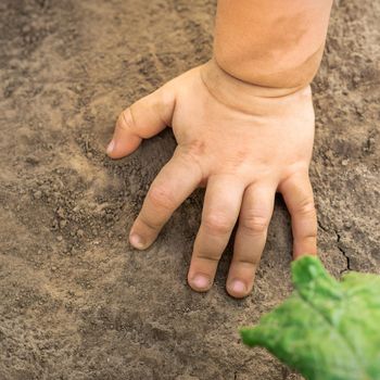 Child hand touch dry soil background