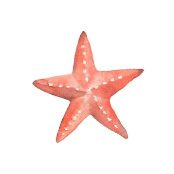Watercolor sketch of starfish. Hand drawn illustration isolated on white background.
