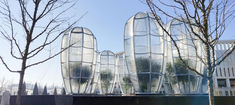 plastic greenhouse for pablic park trees, for winter season