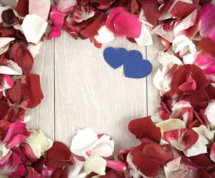 two blue hearts in a frame of rose petals on a wooden background