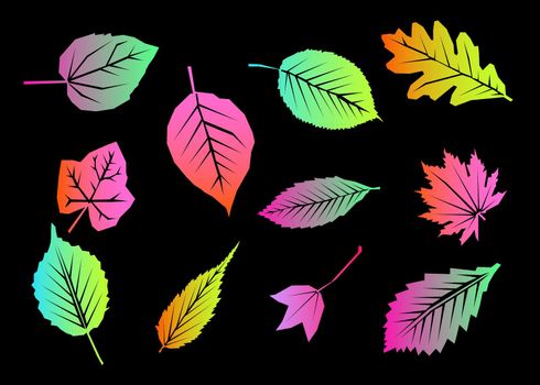 Set bright colorful autumn maple leaf isolated on black background. Graphic design autumn symbol. Red orange yellow dry autumn maple leaves. Autumn foliage seasonal background. Vector illustration