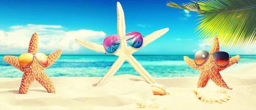 Starfish with sunglases on the sunny beach. Summer holiday background
