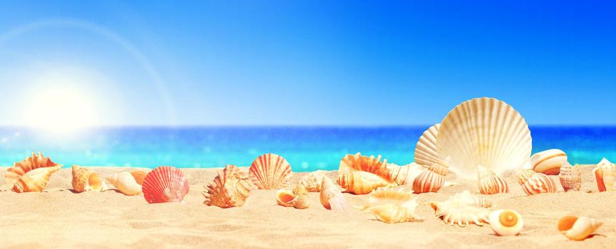 Landscape with seashells on tropical beach - summer holiday.