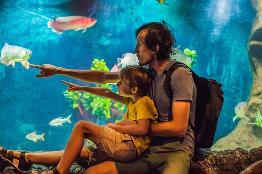 Father and son look at the fish in the aquarium in oceanarium.