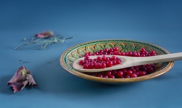 Red currant berries in a ceramic plate