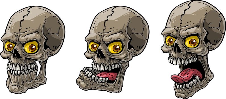 Cartoon realistic scary human skulls vector set