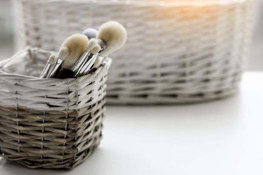 Makeup brushes set for professionals