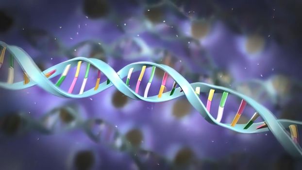 DNA Methylation and Cellular Reprogramming