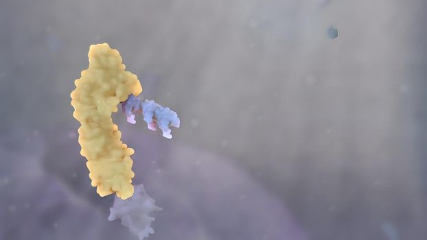 3D Scientific animated destruction of in tracellular protein
