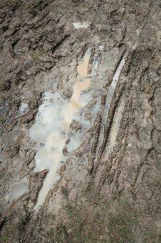 Wet Mud Traces