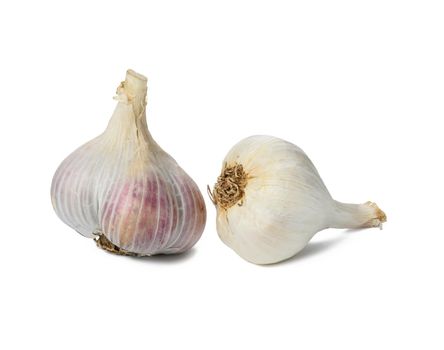 White fresh garlic head isolated on a white background, healthy spice