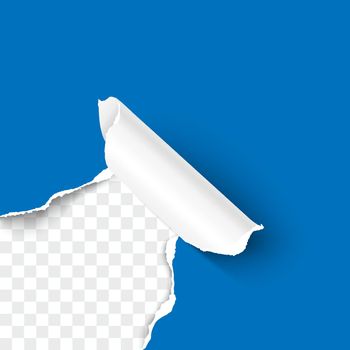 Paper corner torn hole corner of paper sheet with paper curl isolated on transparent background realistic vector illustration